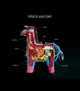 Anatomy of a Pinata